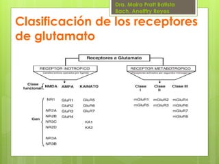 Dra. Maira Pratt Batista
Bach. Anelffry Reyes

Clasificación de los receptores
de glutamato

 