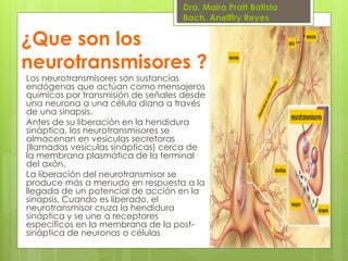 Dra. Maira Pratt Batista
Bach. Anelffry Reyes

¿Que son los
neurotransmisores ?
Los neurotransmisores son sustancias
endógenas que actúan como mensajeros
químicos por transmisión de señales desde
una neurona a una célula diana a través
de una sinapsis.
Antes de su liberación en la hendidura
sináptica, los neurotransmisores se
almacenan en vesículas secretoras
(llamadas vesículas sinápticas) cerca de
la membrana plasmática de la terminal
del axón.
La liberación del neurotransmisor se
produce más a menudo en respuesta a la
llegada de un potencial de acción en la
sinapsis. Cuando es liberado, el
neurotransmisor cruza la hendidura
sináptica y se une a receptores
específicos en la membrana de la postsináptica de neuronas o células.

 