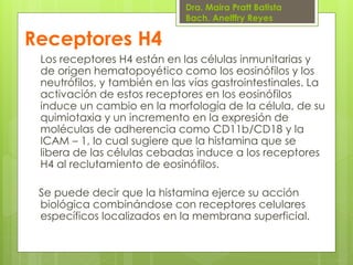 Dra. Maira Pratt Batista
Bach. Anelffry Reyes

Receptores H4
Los receptores H4 están en las células inmunitarias y
de origen hematopoyético como los eosinófilos y los
neutrófilos, y también en las vías gastrointestinales. La
activación de estos receptores en los eosinófilos
induce un cambio en la morfología de la célula, de su
quimiotaxia y un incremento en la expresión de
moléculas de adherencia como CD11b/CD18 y la
ICAM – 1, lo cual sugiere que la histamina que se
libera de las células cebadas induce a los receptores
H4 al reclutamiento de eosinófilos.
Se puede decir que la histamina ejerce su acción
biológica combinándose con receptores celulares
específicos localizados en la membrana superficial.

 