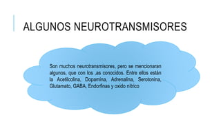 ALGUNOS NEUROTRANSMISORES
Son muchos neurotransmisores, pero se mencionaran
algunos, que con los ,as conocidos. Entre ellos están
la Acetilcolina, Dopamina, Adrenalina, Serotonina,
Glutamato, GABA, Endorfinas y oxido nítrico
 