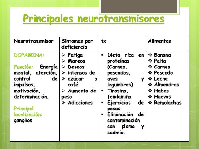 Neurotransmisores Neurotransmisores