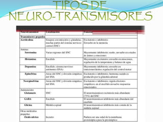 Neurotransmisores