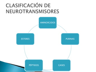 AMINOÁCIDOS
PURINAS
GASESPÉPTIDOS
ESTERES
 