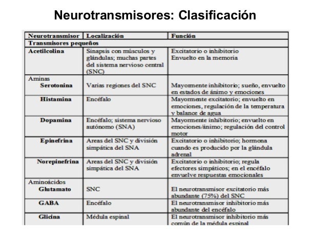 Neurotransmisores Origen Importancia Y Patologías