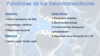 Glutamato
1.Acción excitatoria del SNC
2.Aprendizaje, memoria
3.Plasticidad neuronal
Histamina
1.Sueño-vigilia: facilita vigilia
Oxido Nítrico
1.Plasticidad sináptica
2.Memoria-aprendizaje
3.Control del flujo Sanguíneo
(vasodilatación)
4.Regulación de la formación de LCR.
 