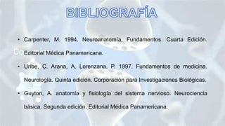 • Carpenter, M. 1994. Neuroanatomía, Fundamentos. Cuarta Edición.
Editorial Médica Panamericana.
• Uribe, C. Arana, A. Lorenzana, P. 1997. Fundamentos de medicina.
Neurología. Quinta edición. Corporación para Investigaciones Biológicas.
• Guyton, A. anatomía y fisiología del sistema nervioso. Neurociencia
básica. Segunda edición. Editorial Médica Panamericana.
 