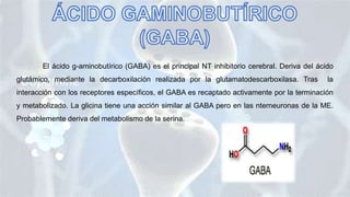El ácido g-aminobutírico (GABA) es el principal NT inhibitorio cerebral. Deriva del ácido
glutámico, mediante la decarboxilación realizada por la glutamatodescarboxilasa. Tras la
interacción con los receptores específicos, el GABA es recaptado activamente por la terminación
y metabolizado. La glicina tiene una acción similar al GABA pero en las nterneuronas de la ME.
Probablemente deriva del metabolismo de la serina.
 