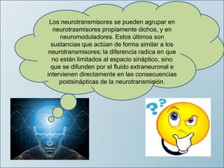 Los neurotransmisores se pueden agrupar en
neurotrasmisores propiamente dichos, y en
neuromoduladores. Estos últimos son
sustancias que actúan de forma similar a los
neurotransmisores; la diferencia radica en que
no están limitados al espacio sináptico, sino
que se difunden por el fluido extraneuronal e
intervienen directamente en las consecuencias
postsinápticas de la neurotransmisión.
 