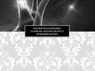 NEUROTRANSMISORES
CLÁSICOS: ACETILCOLINA Y
NORADRENALINA
 