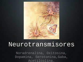 Neurotransmisores
  Noradrenalína, Oxitosina,
 Dopamina, Serotonina,Gaba,
        Acetilcolina.
 