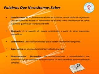 Palabras Que Necesitamos Saber
• Quimiotaxismo: Es un fenómeno en el cual las bacterias y otras células de organismos
uni o pluricelulares dirigen sus movimientos de acuerdo con la concentración de ciertas
sustancias químicas en su medio ambiente.
• Biosíntesis: Es la creación de nuevos aminoácidos a partir de otros intermedios
metabólicos.
• Catecolamina: Son neurotransmisores que se vierten en el torrente sanguíneo.
• Grupo Amino: es un grupo funcional derivado del amoníaco.
• Neurotransmisor Monoamina: Son neurotransmisores y neomoduladores que
contienen un grupo amino que esta conectado a un anillo aromático por una cadena de
carbonos.
 