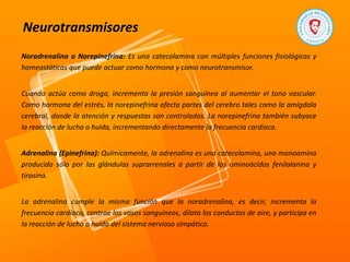 Neurotransmisores
Noradrenalina o Norepinefrina: Es una catecolamina con múltiples funciones fisiológicas y
homeostáticas que puede actuar como hormona y como neurotransmisor.
Cuando actúa como droga, incrementa la presión sanguínea al aumentar el tono vascular.
Como hormona del estrés, la norepinefrina afecta partes del cerebro tales como la amígdala
cerebral, donde la atención y respuestas son controladas. La norepinefrina también subyace
la reacción de lucha o huida, incrementando directamente la frecuencia cardiaca.
Adrenalina (Epinefrina): Químicamente, la adrenalina es una catecolamina, una monoamina
producida sólo por las glándulas suprarrenales a partir de los aminoácidos fenilalanina y
tirosina.
La adrenalina cumple la misma función que la noradrenalina, es decir, incrementa la
frecuencia cardíaca, contrae los vasos sanguíneos, dilata los conductos de aire, y participa en
la reacción de lucha o huida del sistema nervioso simpático.
 