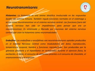 Neurotransmisores
Histamina: La histamina es una amina idazólica involucrada en las respuestas
locales del sistema inmune. También regula funciones normales en el estómago y
actúa como neurotransmisor en el sistema nervioso central. Las funciones fuera del
sistema nervioso han sido un impedimento para pensar que era un
neurotransmisor. Es sintetizada y liberada por neuronas del sistema nervioso
central que usan la histamina como neuromodulador.
Endorfina: Las endorfinas y encefalinas son neurotransmisores opioides producidos
en el Sistema Nervioso Central como moduladores del dolor, reproducción,
temperatura corporal, hambre y funciones reproductivas. Son producidas por la
glándula pituitaria y el hipotálamo en vertebrados durante el ejercicio físico, la
excitación, el dolor, el consumo de alimentos picantes o el consumo de chocolate, el
enamoramiento y el orgasmo.
 