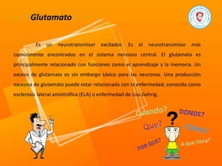Glutamato
Es un neurotransmisor excitador. Es el neurotransmisor más
comúnmente encontrados en el sistema nervioso central. El glutamato es
principalmente relacionado con funciones como el aprendizaje y la memoria. Un
exceso de glutamato es sin embargo tóxico para las neuronas. Una producción
excesiva de glutamato puede estar relacionada con la enfermedad, conocida como
esclerosis lateral amiotrófica (ELA) o enfermedad de Lou Gehrig.
 