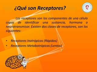 ¿Qué son Receptores?
Los receptores son los componentes de una célula
capaz de identificar una sustancia, hormona o
neurotransmisor. Existen dos clases de receptores, son los
siguientes:
• Receptores Inotrópicos (Rápidos)
• Receptores Metabotrópicos (Lentos)
 