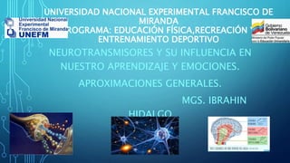 UNIVERSIDAD NACIONAL EXPERIMENTAL FRANCISCO DE
MIRANDA
PROGRAMA: EDUCACIÓN FÍSICA,RECREACIÓN Y
ENTRENAMIENTO DEPORTIVO
NEUROTRANSMISORES Y SU INFLUENCIA EN
NUESTRO APRENDIZAJE Y EMOCIONES.
APROXIMACIONES GENERALES.
MGS. IBRAHIN
HIDALGO
 