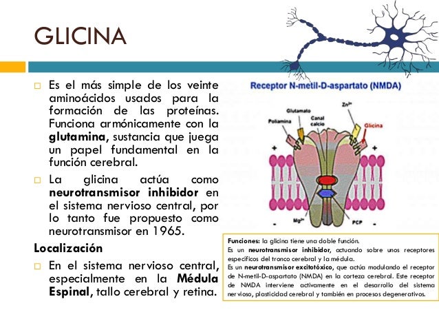 Glicina - a enciclopedia libre