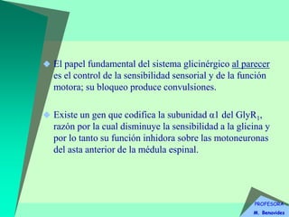 PROFESORA
M. Benavides
 El papel fundamental del sistema glicinérgico al parecer
es el control de la sensibilidad sensorial y de la función
motora; su bloqueo produce convulsiones.
 Existe un gen que codifica la subunidad α1 del GlyR1,
razón por la cual disminuye la sensibilidad a la glicina y
por lo tanto su función inhidora sobre las motoneuronas
del asta anterior de la médula espinal.
 