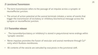 Inhibitory Message Neurotransmission in Central nervous system. | PPTX