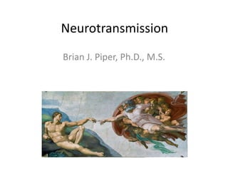 Neurotransmission
Brian J. Piper, Ph.D., M.S.
 