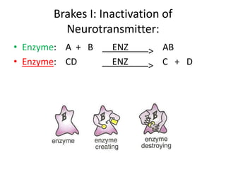 Brakes III: Transporters
• Proteins that move molecule from one place
  to another, examples:
  – SERT: serotonin transpor...