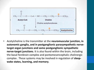 • Acetylcholine is the transmitter at the neuromuscular junction, in
autonomic ganglia, and in postganglionic parasympathetic nerve-
target organ junctions and some postganglionic sympathetic
nerve-target junctions. It is also found within the brain, including
the basal forebrain complex and pontomesencephalic cholinergic
complex . These systems may be involved in regulation of sleep-
wake states, learning, and memory.
 