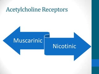 Acetylcholine Receptors
Muscarinic
Nicotinic
 