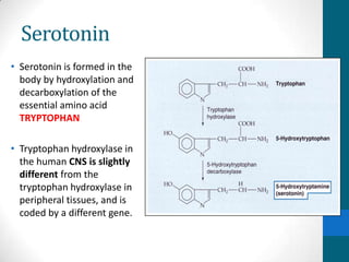 Serotonin
• Serotonin is formed in the
body by hydroxylation and
decarboxylation of the
essential amino acid
TRYPTOPHAN
• Tryptophan hydroxylase in
the human CNS is slightly
different from the
tryptophan hydroxylase in
peripheral tissues, and is
coded by a different gene.
 