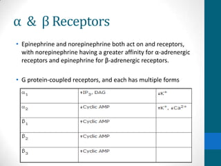 α & β Receptors
• Epinephrine and norepinephrine both act on and receptors,
with norepinephrine having a greater affinity for α-adrenergic
receptors and epinephrine for β-adrenergic receptors.
• G protein-coupled receptors, and each has multiple forms
 