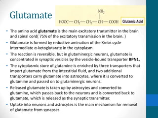 Glutamate
• The amino acid glutamate is the main excitatory transmitter in the brain
and spinal cord( 75% of the excitatory transmission in the brain. )
• Glutamate is formed by reductive amination of the Krebs cycle
intermediate α-ketoglutarate in the cytoplasm.
• The reaction is reversible, but in glutaminergic neurons, glutamate is
concentrated in synaptic vesicles by the vesicle-bound transporter BPN1.
• The cytoplasmic store of glutamine is enriched by three transporters that
import glutamate from the interstitial fluid, and two additional
transporters carry glutamate into astrocytes, where it is converted to
glutamine and passed on to glutaminergic neurons.
• Released glutamate is taken up by astrocytes and converted to
glutamine, which passes back to the neurons and is converted back to
glutamate, which is released as the synaptic transmitter.
• Uptake into neurons and astrocytes is the main mechanism for removal
of glutamate from synapses
 