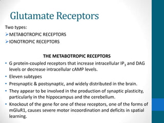 Glutamate Receptors
Two types:
METABOTROPIC RECEPTORS
IONOTROPIC RECEPTORS
THE METABOTROPIC RECEPTORS
• G protein-coupled receptors that increase intracellular IP3 and DAG
levels or decrease intracellular cAMP levels.
• Eleven subtypes
• Presynaptic & postsynaptic, and widely distributed in the brain.
• They appear to be involved in the production of synaptic plasticity,
particularly in the hippocampus and the cerebellum.
• Knockout of the gene for one of these receptors, one of the forms of
mGluR1, causes severe motor incoordination and deficits in spatial
learning.
 