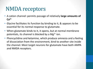 NMDA receptors
• A cation channel: permits passage of relatively large amounts of
Ca2+
• Glycine facilitates its function by binding to it, & appears to be
essential for its normal response to glutamate.
• When glutamate binds to it, it opens, but at normal membrane
potentials, its channel is blocked by a Mg2+ ion.
• Phencyclidine and ketamine, which produce amnesia and a feeling
of dissociation from the environment, bind to another site inside
the channel. Most target neurons for glutamate have both AMPA
and NMDA receptors.
 
