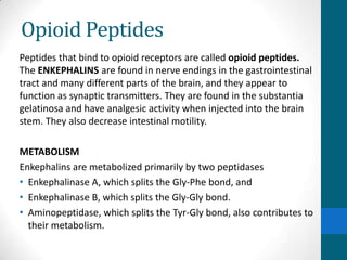 Opioid Peptides
Peptides that bind to opioid receptors are called opioid peptides.
The ENKEPHALINS are found in nerve endings in the gastrointestinal
tract and many different parts of the brain, and they appear to
function as synaptic transmitters. They are found in the substantia
gelatinosa and have analgesic activity when injected into the brain
stem. They also decrease intestinal motility.
METABOLISM
Enkephalins are metabolized primarily by two peptidases
• Enkephalinase A, which splits the Gly-Phe bond, and
• Enkephalinase B, which splits the Gly-Gly bond.
• Aminopeptidase, which splits the Tyr-Gly bond, also contributes to
their metabolism.
 