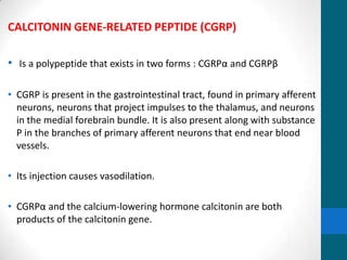 CALCITONIN GENE-RELATED PEPTIDE (CGRP)
• Is a polypeptide that exists in two forms : CGRPα and CGRPβ
• CGRP is present in the gastrointestinal tract, found in primary afferent
neurons, neurons that project impulses to the thalamus, and neurons
in the medial forebrain bundle. It is also present along with substance
P in the branches of primary afferent neurons that end near blood
vessels.
• Its injection causes vasodilation.
• CGRPα and the calcium-lowering hormone calcitonin are both
products of the calcitonin gene.
 