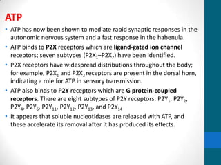 ATP
• ATP has now been shown to mediate rapid synaptic responses in the
autonomic nervous system and a fast response in the habenula.
• ATP binds to P2X receptors which are ligand-gated ion channel
receptors; seven subtypes (P2X1–P2X7) have been identified.
• P2X receptors have widespread distributions throughout the body;
for example, P2X1 and P2X2 receptors are present in the dorsal horn,
indicating a role for ATP in sensory transmission.
• ATP also binds to P2Y receptors which are G protein-coupled
receptors. There are eight subtypes of P2Y receptors: P2Y1, P2Y2,
P2Y4, P2Y6, P2Y11, P2Y12, P2Y13, and P2Y14
• It appears that soluble nucleotidases are released with ATP, and
these accelerate its removal after it has produced its effects.
 