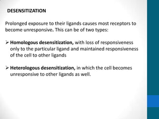 DESENSITIZATION
Prolonged exposure to their ligands causes most receptors to
become unresponsive. This can be of two types:
Homologous desensitization, with loss of responsiveness
only to the particular ligand and maintained responsiveness
of the cell to other ligands
Heterologous desensitization, in which the cell becomes
unresponsive to other ligands as well.
 