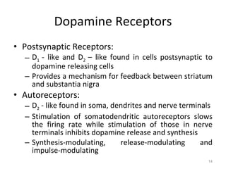 Dopamine Receptors Postsynaptic Receptors: D 1  - like and D 2  – like found in cells postsynaptic to dopamine releasing cells Provides a mechanism for feedback between striatum and substantia nigra Autoreceptors: D 2  - like found in soma, dendrites and nerve terminals Stimulation of somatodendritic autoreceptors slows the firing rate while stimulation of those in nerve terminals inhibits dopamine release and synthesis Synthesis-modulating, release-modulating and impulse-modulating 