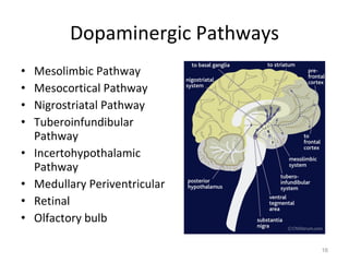 Dopaminergic Pathways Mesolimbic Pathway Mesocortical Pathway Nigrostriatal Pathway Tuberoinfundibular Pathway Incertohypothalamic Pathway Medullary Periventricular Retinal Olfactory bulb 