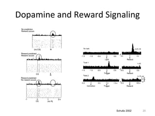 Dopamine and Reward Signaling Schultz 2002 