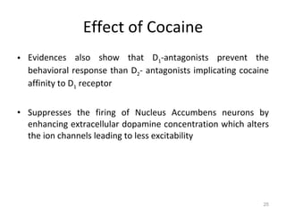 Effect of Cocaine Evidences also show that D 1 -antagonists prevent the behavioral response than D 2 - antagonists implicating cocaine affinity to D 1  receptor Suppresses the firing of Nucleus Accumbens neurons by enhancing extracellular dopamine concentration which alters the ion channels leading to less excitability 