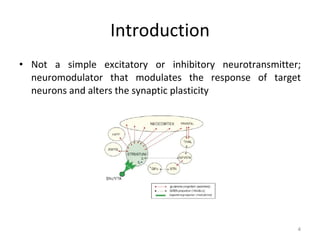 Introduction Not a simple excitatory or inhibitory neurotransmitter; neuromodulator that modulates the response of target neurons and alters the synaptic plasticity 