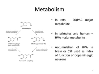 Metabolism In rats – DOPAC major metabolite In primates and human – HVA major metabolite Accumulation of HVA in brain or CSF used as index of function of dopaminergic neurons 