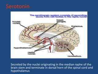 Serotonin




 Secreted by the nuclei originating in the median raphe of the
 brain stem and terminate in dorsal horn of the spinal cord and
 hypothalamus
 
