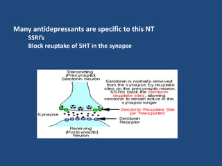 Many antidepressants are specific to this NT
    SSRI’s
    Block reuptake of 5HT in the synapse
 