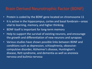 Brain Derived Neurotrophic Factor (BDNF)
• Protein is coded by the BDNF gene located on chromosome 11
• It is active in the hippocampus, cortex and basal forebrain—areas
  vital to learning, memory, and higher thinking.
• BDNF itself is important for long-term memory
• Help to support the survival of existing neurons, and encourage
  the growth and differentiation of new neurons and synapses
• Various studies have shown possible links between BDNF and
  conditions such as depression, schizophrenia, obsessive-
  compulsive disorder, Alzheimer's disease, Huntington's
  disease, Rett syndrome, and dementia as well as anorexia
  nervosa and bulimia nervosa
 