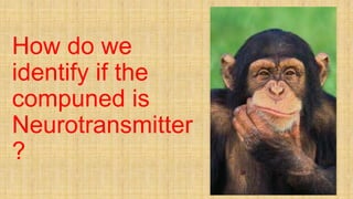 How do we
identify if the
compuned is
Neurotransmitter
?
 