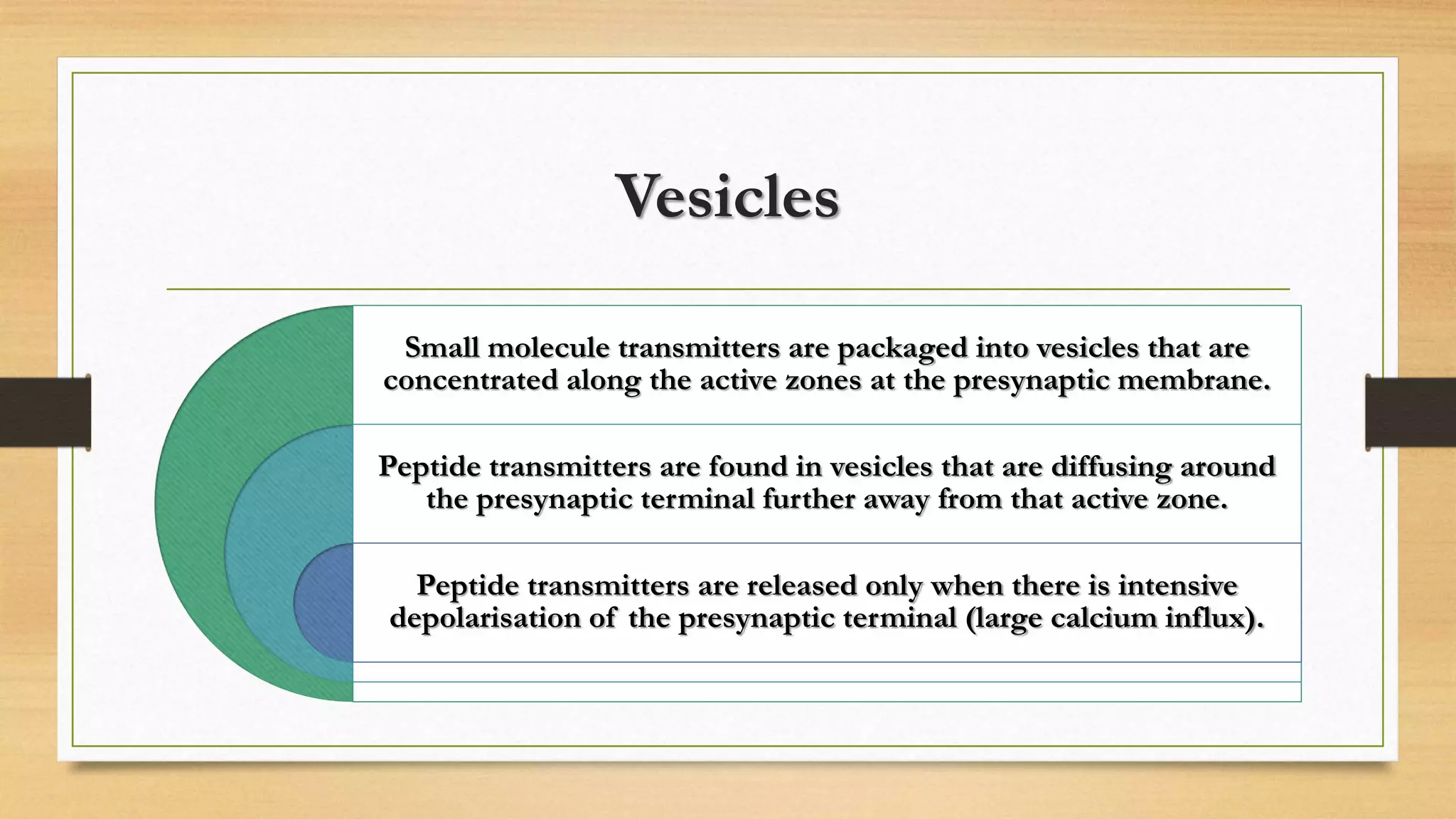 Vesicles
Small molecule transmitters are packaged into vesicles that are
concentrated along the active zones at the presynaptic membrane.
Peptide transmitters are found in vesicles that are diffusing around
the presynaptic terminal further away from that active zone.
Peptide transmitters are released only when there is intensive
depolarisation of the presynaptic terminal (large calcium influx).
 
