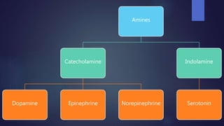 Amines
Catecholamine
Dopamine Epinephrine Norepinephrine
Indolamine
Serotonin
 