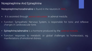 Norepinephrine And Epinephrine
Norepinephrine/noradrenaline is found in the neurons in ANS .
• It is secereted through axonal varicosities in adrenal medulla.
• Function: Sympathetic Nervous System, is responsible for tonic and reflexive
changes in cardiovascular tone.
• Epinephrine/adrenaline is a hormone produced by the adrenal medulla.
• Function: responses to metabolic or global challenges to homeostasis, eg.
manifestations of emotional distress.
 