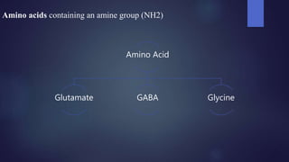 Amino Acid
Glutamate GABA Glycine
Amino acids containing an amine group (NH2)
 